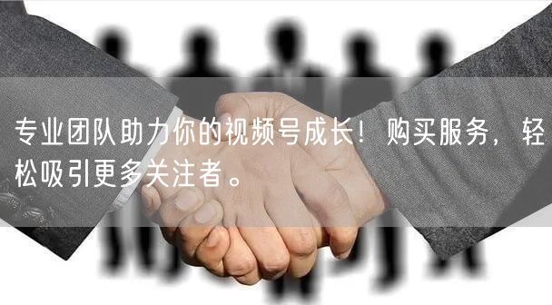专业团队助力你的视频号成长!购买服务,轻松吸引更多关注者。