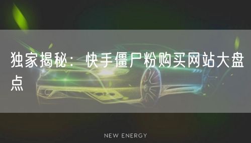 独家揭秘：快手僵尸粉购买网站大盘点