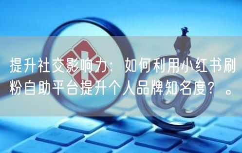 提升社交影响力：如何利用小红书刷粉自助平台提升个人品牌知名度？。