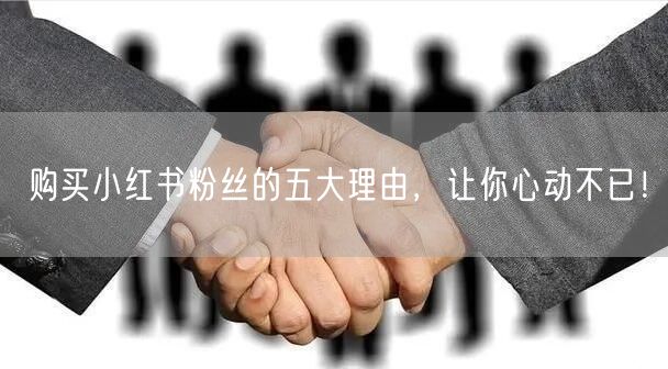购买小红书粉丝的五大理由,让你心动不已!