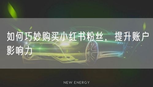 如何巧妙购买小红书粉丝,提升账户影响力