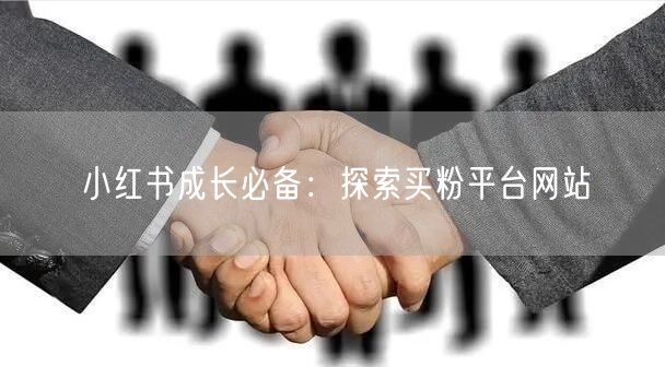 小红书成长必备:探索买粉平台网站